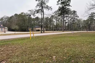 2107 Roman Forest Blvd, New Caney, TX 77357 - Photo 16