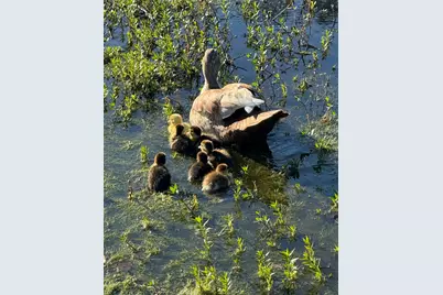 16180 Oaklawn Drive, Splendora, TX 77372 - Photo 46