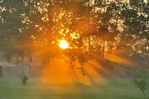 16180 Oak Lawn Dr, Splendora, TX 77372 - Photo 40