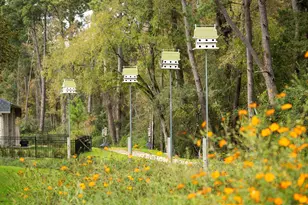 39014 Heron Run Wy, Magnolia, TX 77354 - Photo 22