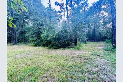702 County Road 2339, Dayton, TX 77535 - Photo 2