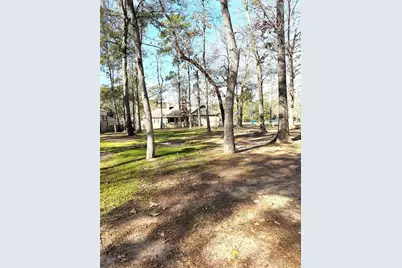 22857 Zambesi Drive, Porter, TX 77365 - Photo 4