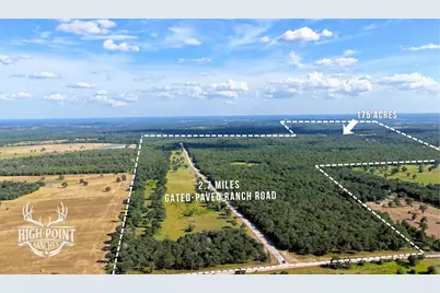 Tbd Ranch Road Off Cr 405 - 175 Acres, Lexington, TX 78947 - Photo 2