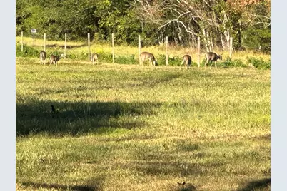 313 Roy Road, Wallisville, TX 77597 - Photo 36