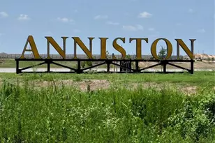 26827 Rosy Shimmer Ln, Katy, TX 77493 - Photo 20