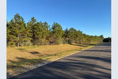 15762 Grey Hawk Lane, Willis, TX 77378 - Photo 8