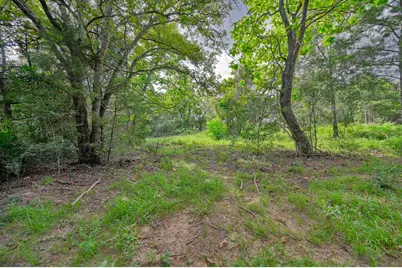 519 Sunflower Lane, New Ulm, TX 78950 - Photo 28