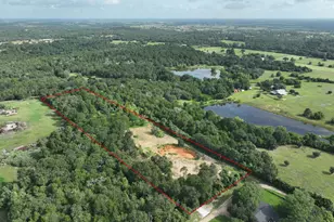 519 Sunflower Ln, New Ulm, TX 78950 - Photo 1