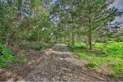 519 Sunflower Lane, New Ulm, TX 78950 - Photo 24