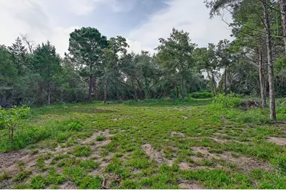 519 Sunflower Lane, New Ulm, TX 78950 - Photo 26