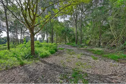 519 Sunflower Lane, New Ulm, TX 78950 - Photo 22