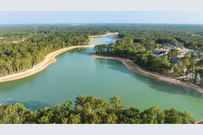 22310 Junction Peak Drive, Porter, TX 77365 - Photo 24