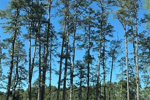 6273 Alder Creek Dr, Montgomery, TX 77316 - Photo 46