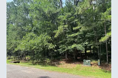 75 Green Tree Drive, Coldspring, TX 77331 - Photo 1