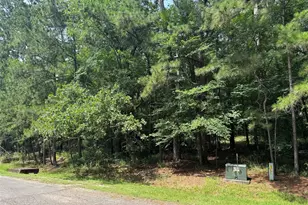 75 Green Tree Dr, Coldspring, TX 77331 - Photo 1