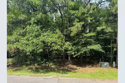 75 Green Tree Drive, Coldspring, TX 77331 - Photo 2