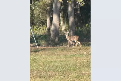 40934 Thomas Lane, Hempstead, TX 77445 - Photo 48