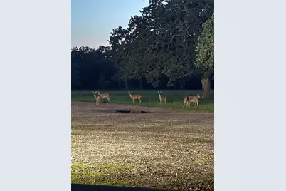40934 Thomas Lane, Hempstead, TX 77445 - Photo 50