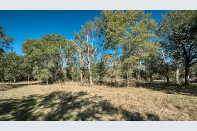 40934 Thomas Lane, Hempstead, TX 77445 - Photo 36