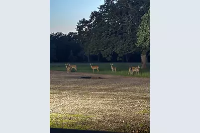 40934 Thomas Lane, Hempstead, TX 77445 - Photo 50