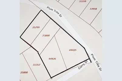 681 Plum Tree, Livingston, TX 77351 - Photo 4