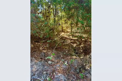 2845 County Road, Colmesneil, TX 75938 - Photo 8