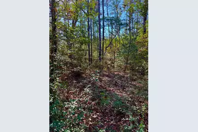 2845 County Road, Colmesneil, TX 75938 - Photo 14