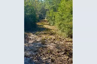 2845 County Road, Colmesneil, TX 75938 - Photo 12