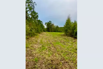 2845 County Road, Colmesneil, TX 75938 - Photo 26