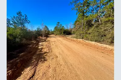 2845 County Road, Colmesneil, TX 75938 - Photo 2