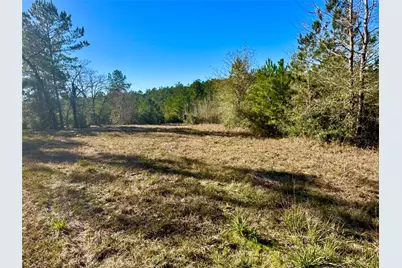 2845 County Road, Colmesneil, TX 75938 - Photo 10