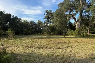0 County Road 678, Brazoria, TX 77486 - Photo 1