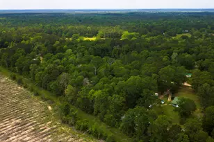 419 Vanderbilt, Livingston, TX 77351 - Photo 32