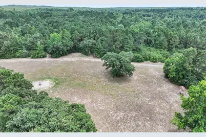 8323 County Road 292, Buffalo, TX 75831 - Photo 46