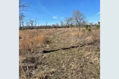 16065 N Tierra Buena N, Plantersville, TX 77363 - Photo 18