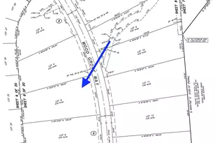 15999 Wood Grv Wy, Willis, TX 77378 - Photo 4