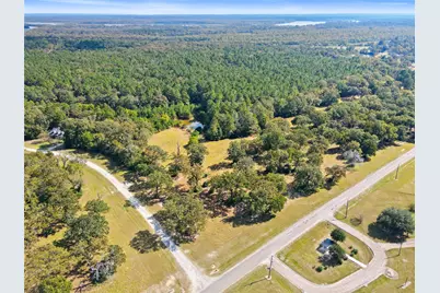 Lot 28 Lake Livingston Lane, Trinity, TX 75862 - Photo 8