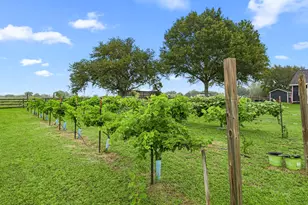 16720 FM 1164 Rd, East Bernard, TX 77435 - Photo 36