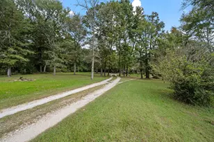 253 Pinckard Rd, Livingston, TX 77351 - Photo 8
