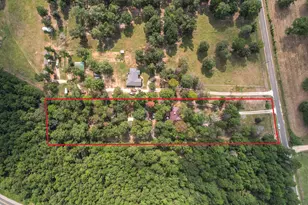 253 Pinckard Rd, Livingston, TX 77351 - Photo 6