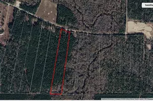 Lot 7 Blue Jay Dr, Kountze, TX 77625 - Photo 1