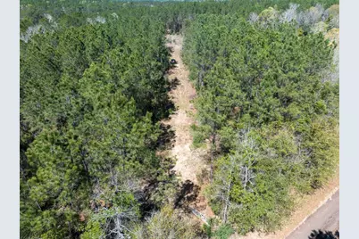 526 Mount Pisgah Road, Woodville, TX 75979 - Photo 4