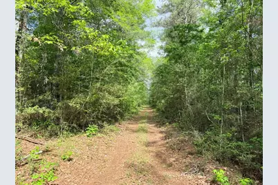 526 Mount Pisgah Road, Woodville, TX 75979 - Photo 18