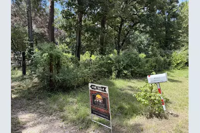 41502 S Buckhorn Lane, Magnolia, TX 77354 - Photo 10