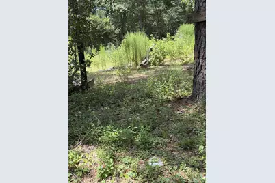41502 S Buckhorn Lane, Magnolia, TX 77354 - Photo 2