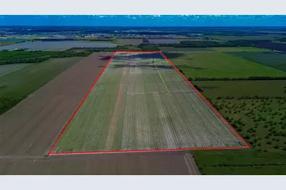 7902 Pleak Rd Road, Richmond, TX 77469 - Photo 2