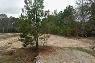 19131 Serpenteer Dr, Porter, TX 77365 - Photo 2