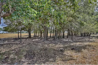 2443 E State Highway 71 Bypass, La Grange, TX 78945 - Photo 8