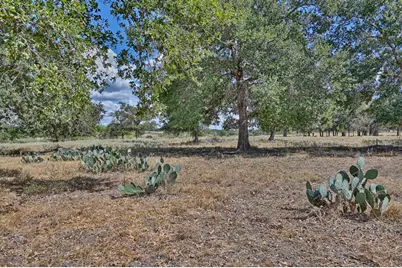 2443 E State Highway 71 Bypass, La Grange, TX 78945 - Photo 6