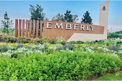 1123 Blue Stone Drive, Beasley, TX 77417 - Photo 10